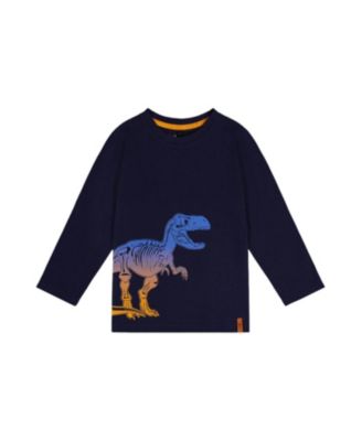 Boys' Long Sleeve Organic Cotton Dino Crew Neck T-Shirt - Little Kid