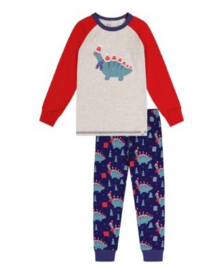  Boys' Organic Cotton Dinosaur Top Pants Two Piece Pajama Set - Little Kid, Big Kid