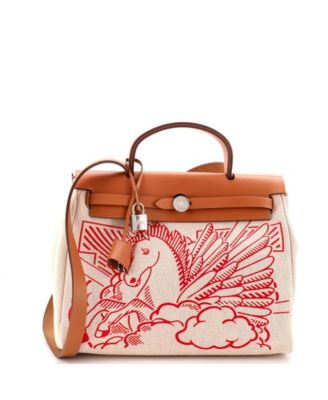 31 Herbag Zip Pegase Pop Toile and Leather