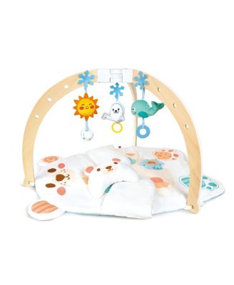 Snuggle Bear Activity Gym - 0-18 - Ages 0-24 Months