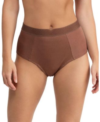  Women's High Waisted Soft Silk Brief