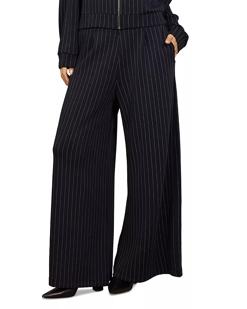 Vintage Havana Striped Pleated Front Wide Leg Pants