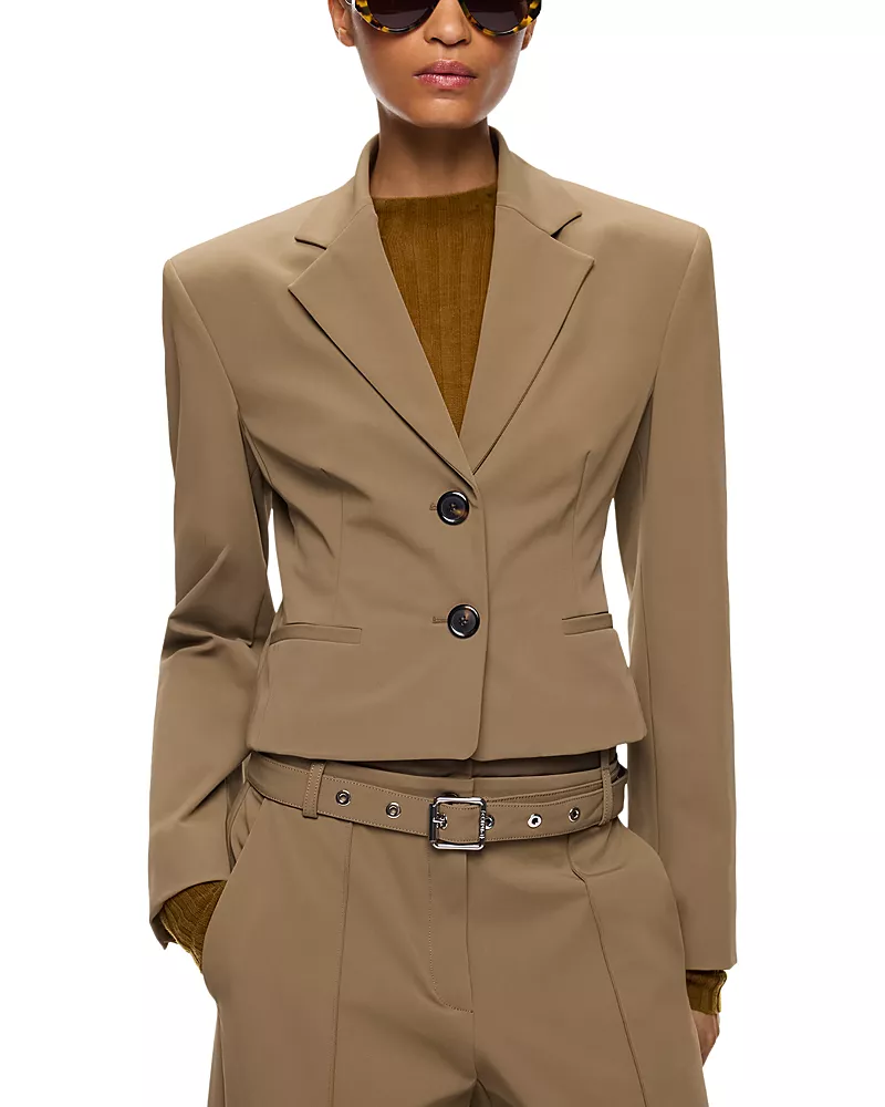 Pinko Teroldego Bi Stretch Jacket
