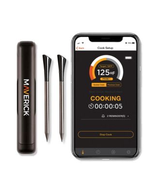  STAKE™  Wireless Bluetooth Thermometer Dual Probe