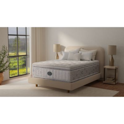 Candor Plush Pillow Top Mattress & Box Spring Set, Twin