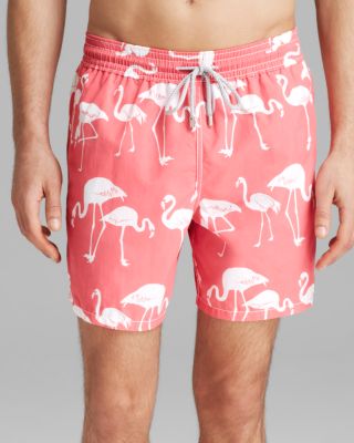 next flamingo swim shorts