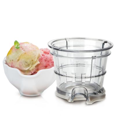 Whole Slow Juicer with Smoothie Strainer