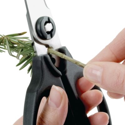Kitchen &amp; Herb Scissors