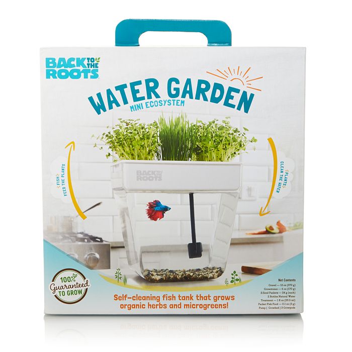 Back to the Roots Water Garden Mini Ecosystem Bloomingdale's