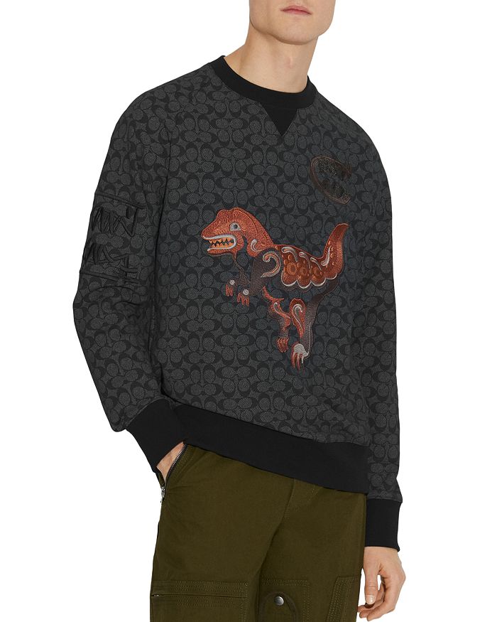 Rexy sweatshirt 2025