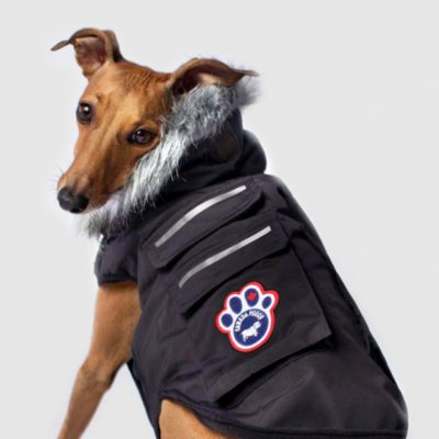 canada pooch parka