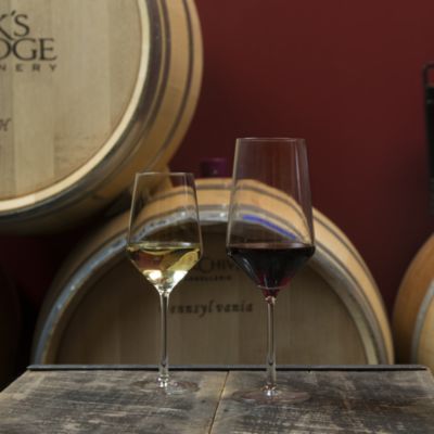 Tritan Pure Bordeaux Glass, Set of 2