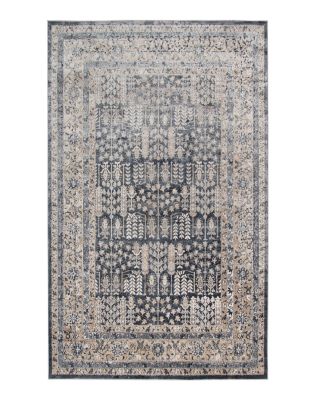 Amer Rugs Belmont Blm-3 Area Rug, 2' x 3'