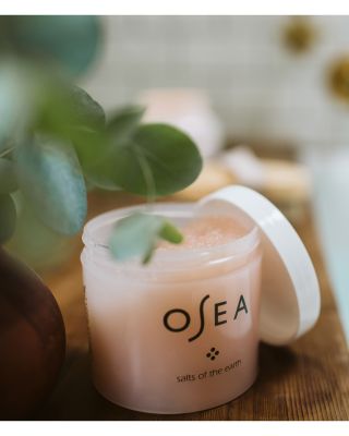 Salts of the Earth Body Scrub 12 oz.