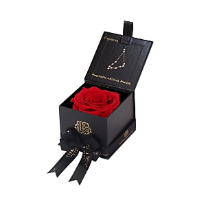 Eternal Roses Astor Gift Box In Capricorn/scarlet