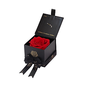Eternal Roses Astor Gift Box In Aries/scarlet