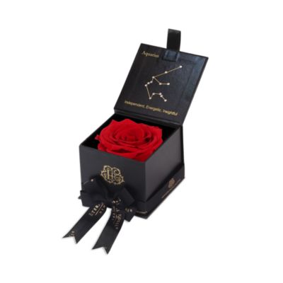 Astor Gift Box
