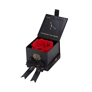 Eternal Roses Astor Gift Box In Cancer/scarlet