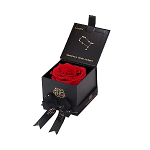 Eternal Roses Astor Gift Box In Gemini/scarlet