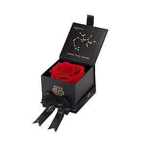 Eternal Roses Astor Gift Box In Sagittarius/scarlet