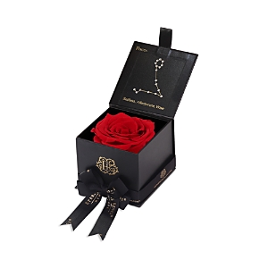 Eternal Roses Astor Gift Box In Pisces/scarlet