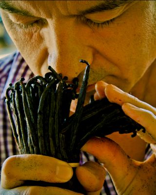 Shalimar Eau de Parfum, 3.0 oz