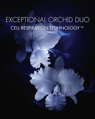 Orchid&eacute;e Imp&eacute;riale Anti Aging Essence in Lotion Toner 4.2 oz.