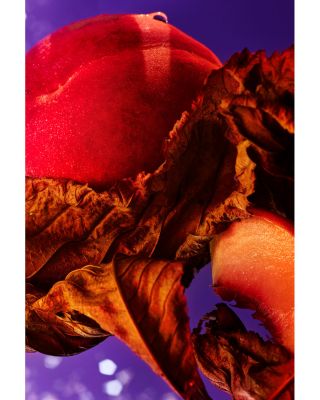 Allegra Fantasia Veneta Eau de Parfum 3.4 oz.