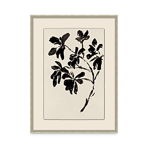Bloomingdale's Artisan Collection Ink Botanical 1 Bloomingdale's Artisan Collection Ink Botanical 1