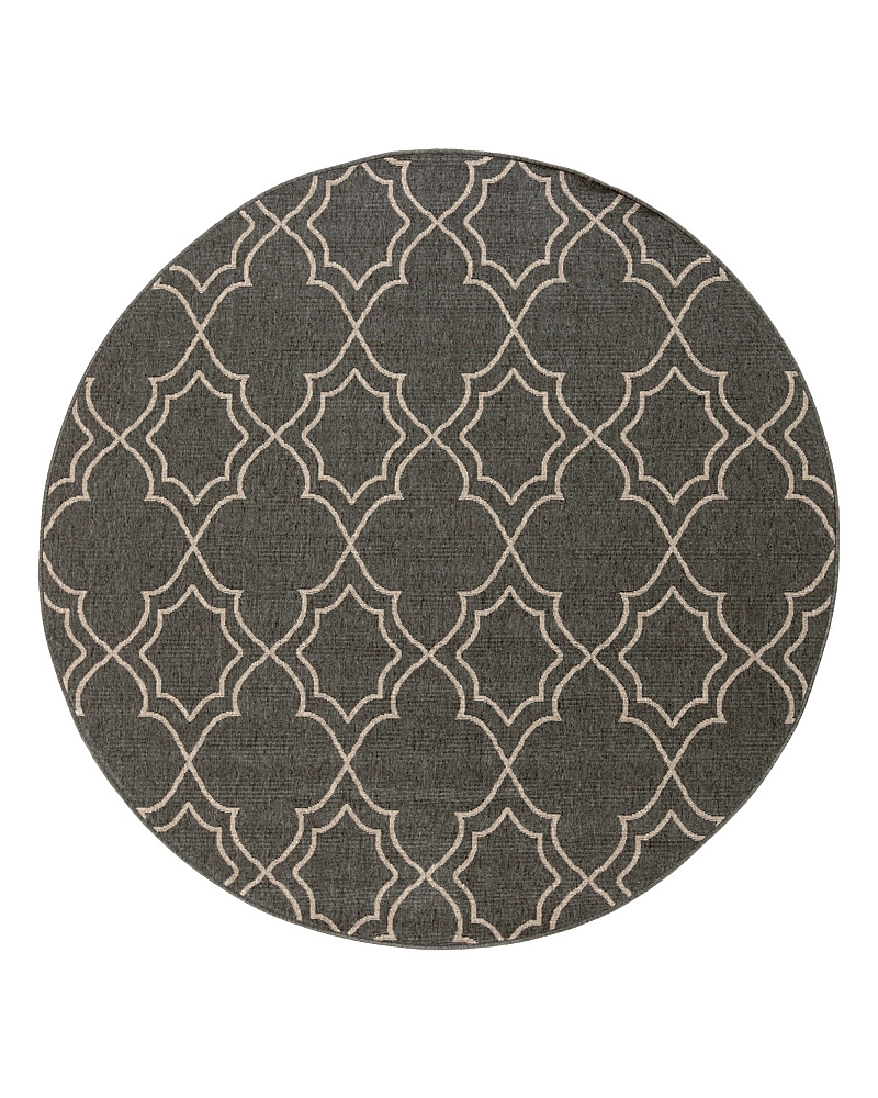 Surya Alfresco Alf A Round Area Rug, 8'10 X 8'10 In Black