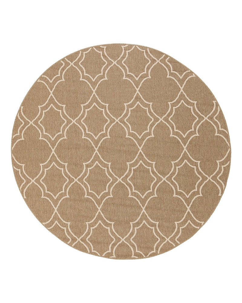Surya Alfresco Alf A Round Area Rug, 8'10 X 8'10 In Brown