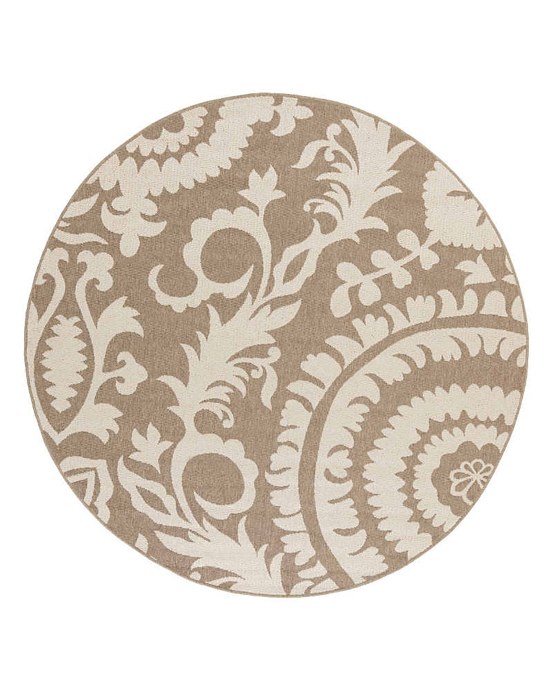 Surya Alfresco Alf D Round Area Rug, 8'10 X 8'10 In Camel