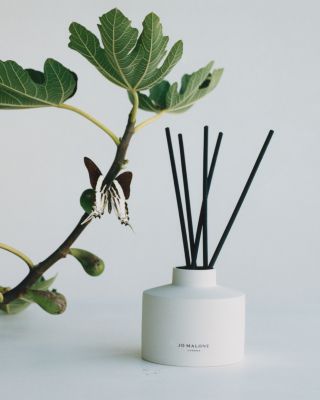 Fresh Fig & Cassis Diffuser 11.8 oz.