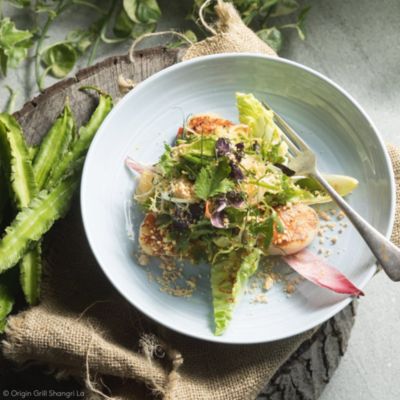 Origine Dinner Collection