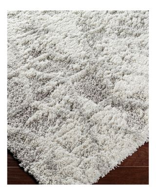 Alta Shag ASG-2302 Area Rug, 2' x 3'
