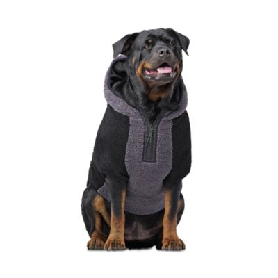 Canada Pooch - Cool Factor Hoodie, Size 14
