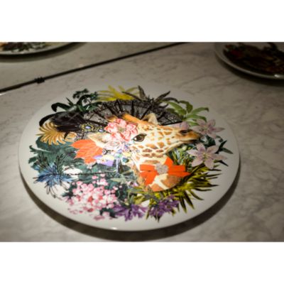 Love Who You Want by Christian Lacroix Collection