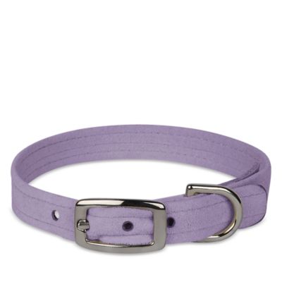 Susan Lanci Designs - Plain Dog Collar