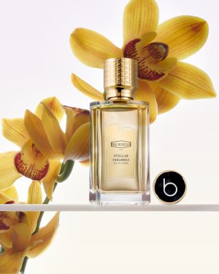 Stellar Dreamers Eau de Parfum 3.3 oz. - Exclusive