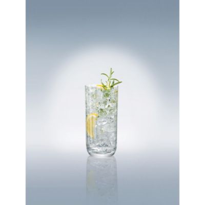 Rose Garden Highball/Tumbler, Set of 4