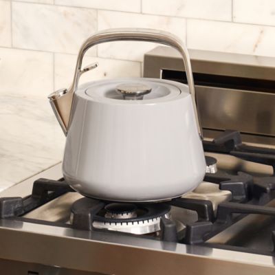 Stainless Steel Tea Kettle