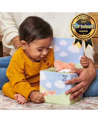 Baby GUND Fox in a Box Animated Plush Activity Toy - Ages 0+