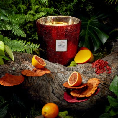 Goji Tarocco Orange 5 Wick Hearth Candle, 123 oz.