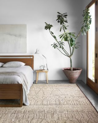 Odyssey OD-01 Collection