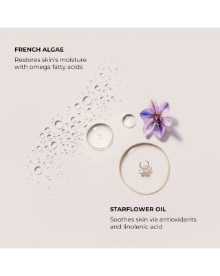 Ambre Vanille Souffl&amp;eacute; Hand Cream 1.5 oz.