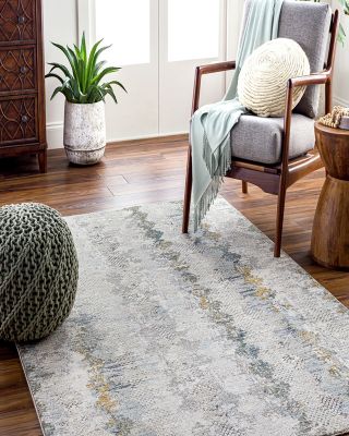 Dresden DRE-2303 Area Rug, 2'7" x 4'