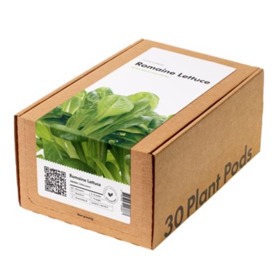 Click and Grow - 30 Pack Romaine Lettuce Pods