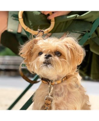 Embossed Yellow & Black Leather Adjustable Dog Collar