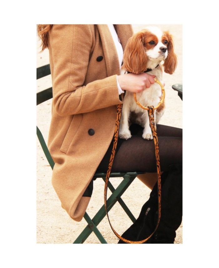 Long Sasha Leather Dog Leash with Bamboo Handle
