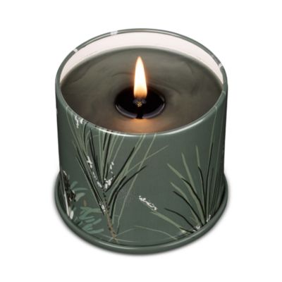 Balsam & Cedar Vanity Tin Candle, 11.8 oz.